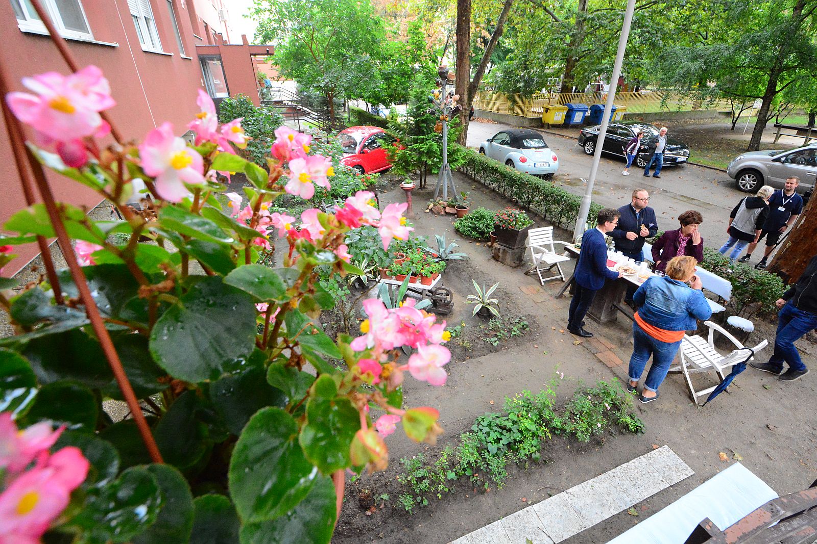 Virágos Székesfehérvár - vasárnap estig még lehet pályázni növényekre